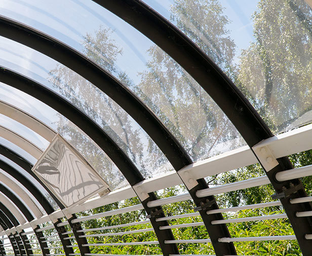 ZENOLEX® GP (General Purpose) Zenolexhero